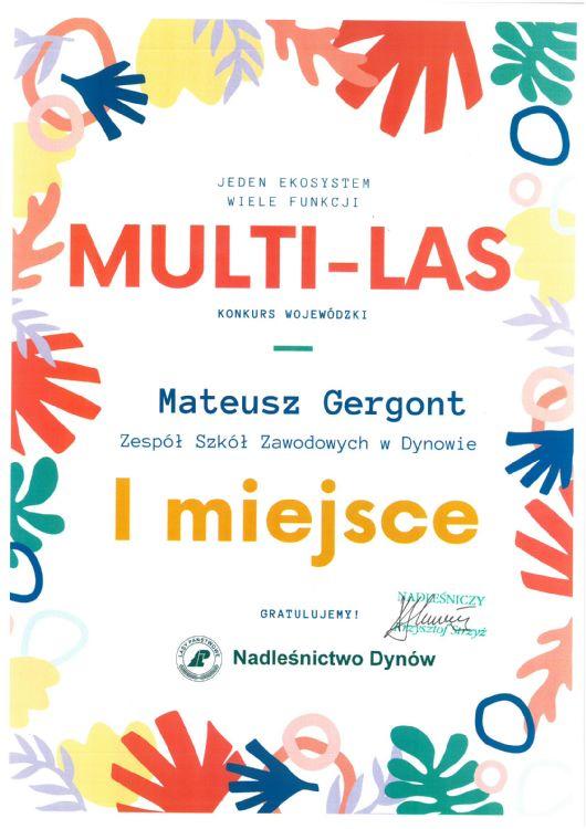 Multi - Las - Mateusz Gergont - I miejsce..jpg